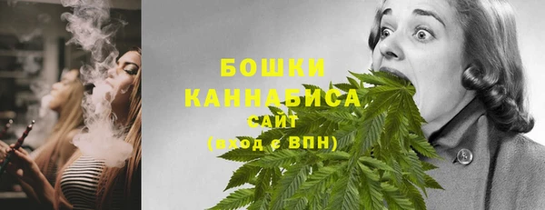 шишки Вязники