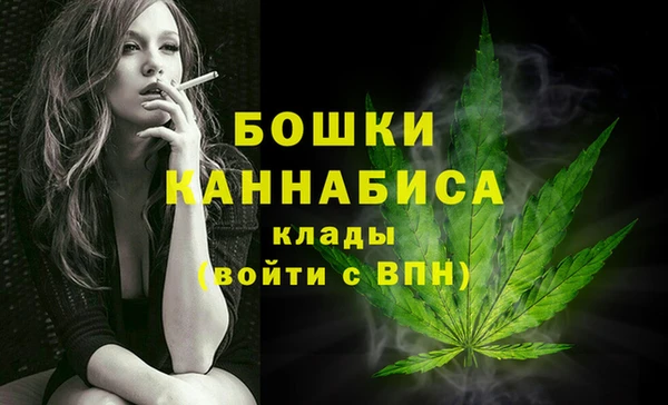 шишки Вязники